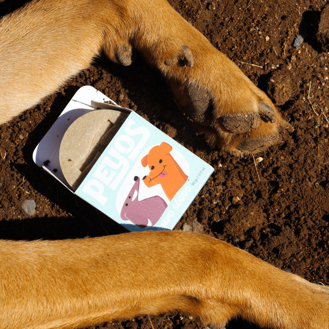 Champú sólido Perros y Gatos / Antipulgas