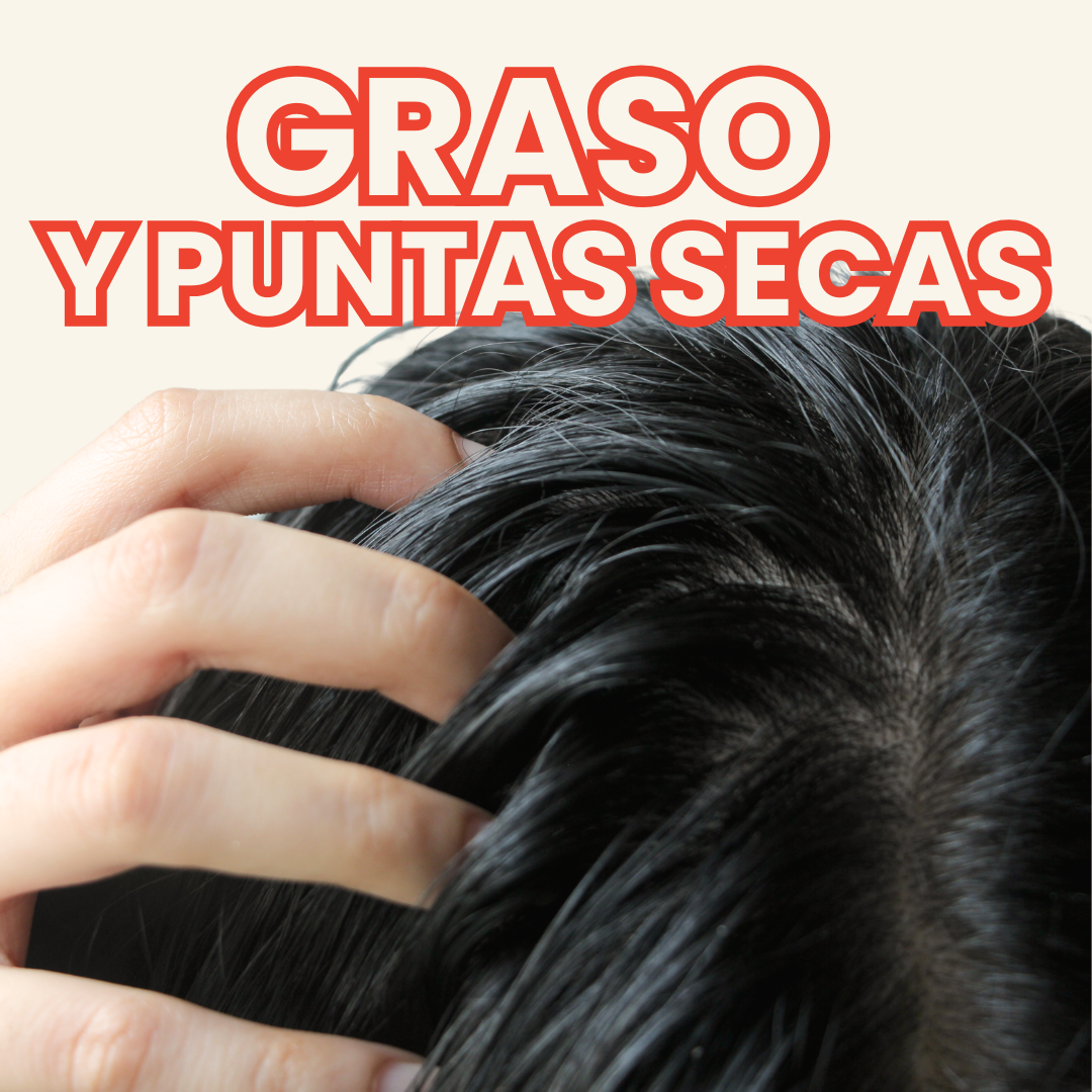 Graso y secos