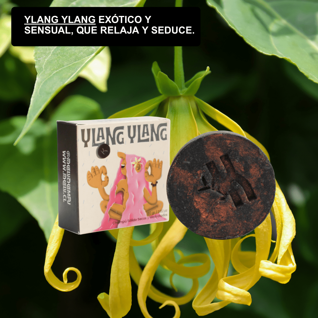 Shampoo Secos y maltratados / Ylang Ylang.