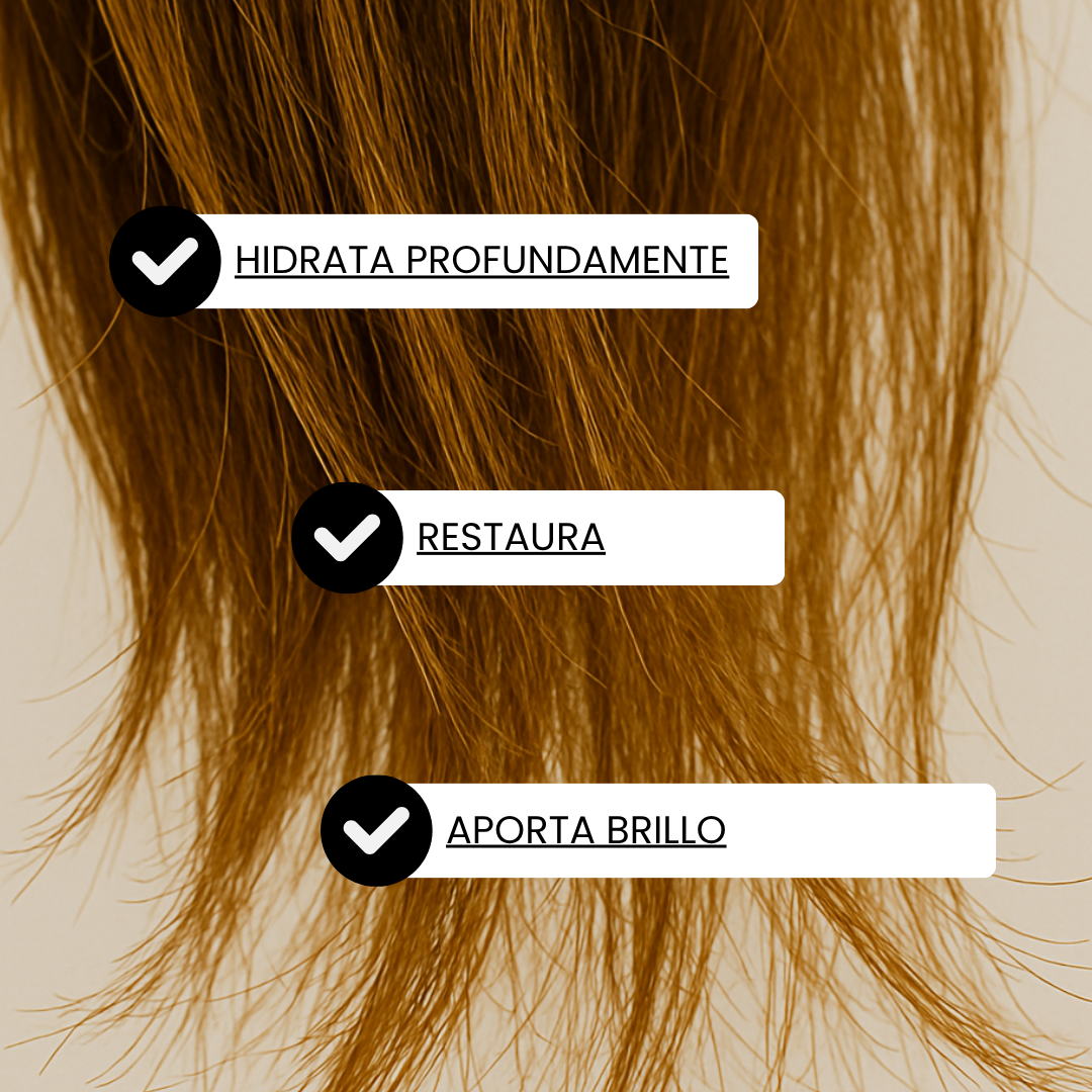 Shampoo Secos y maltratados / Ylang Ylang.