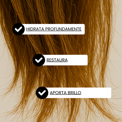 Champú Secos y maltratados / Ylang Ylang.