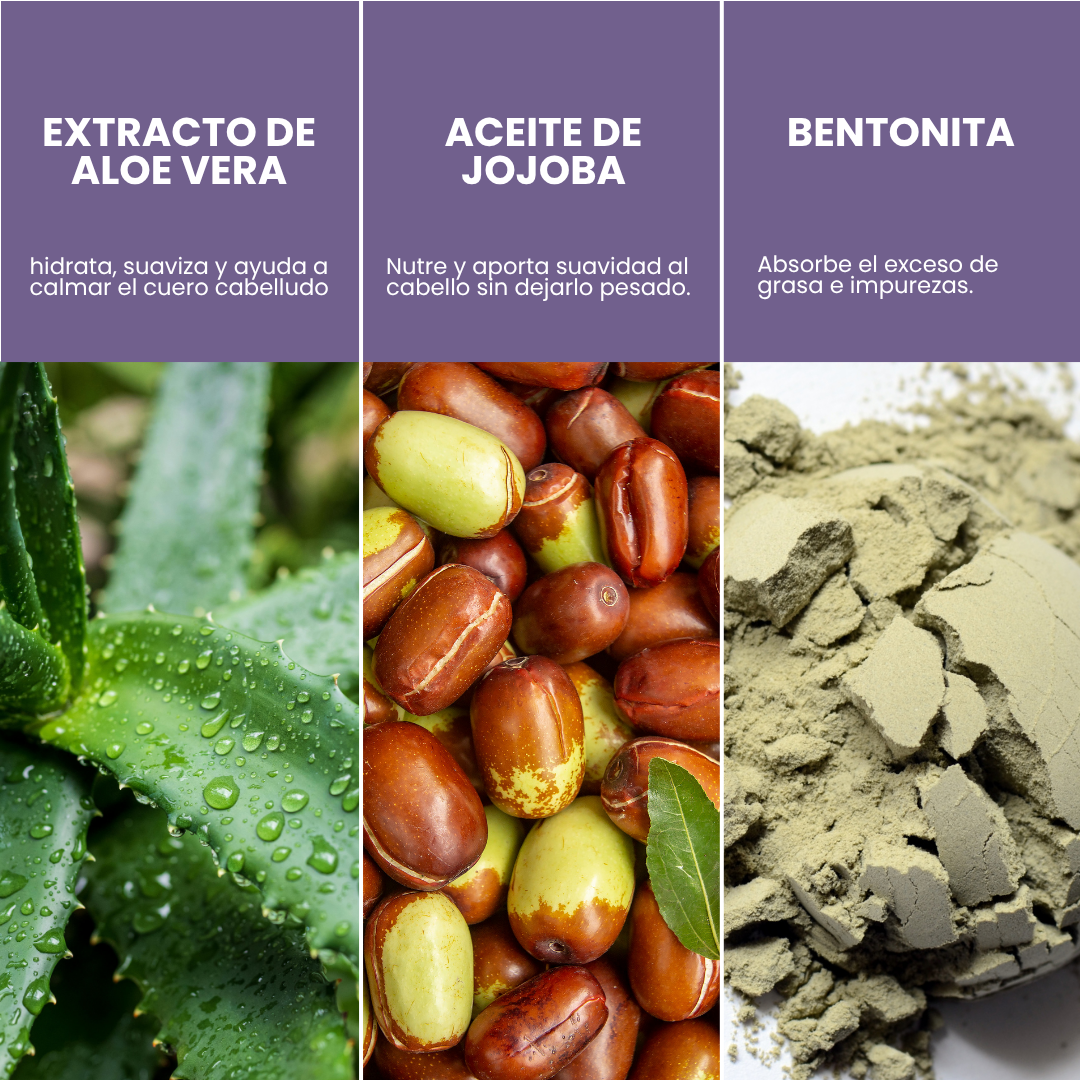 Shampoo para cabellos grasos / Ultraviolet.