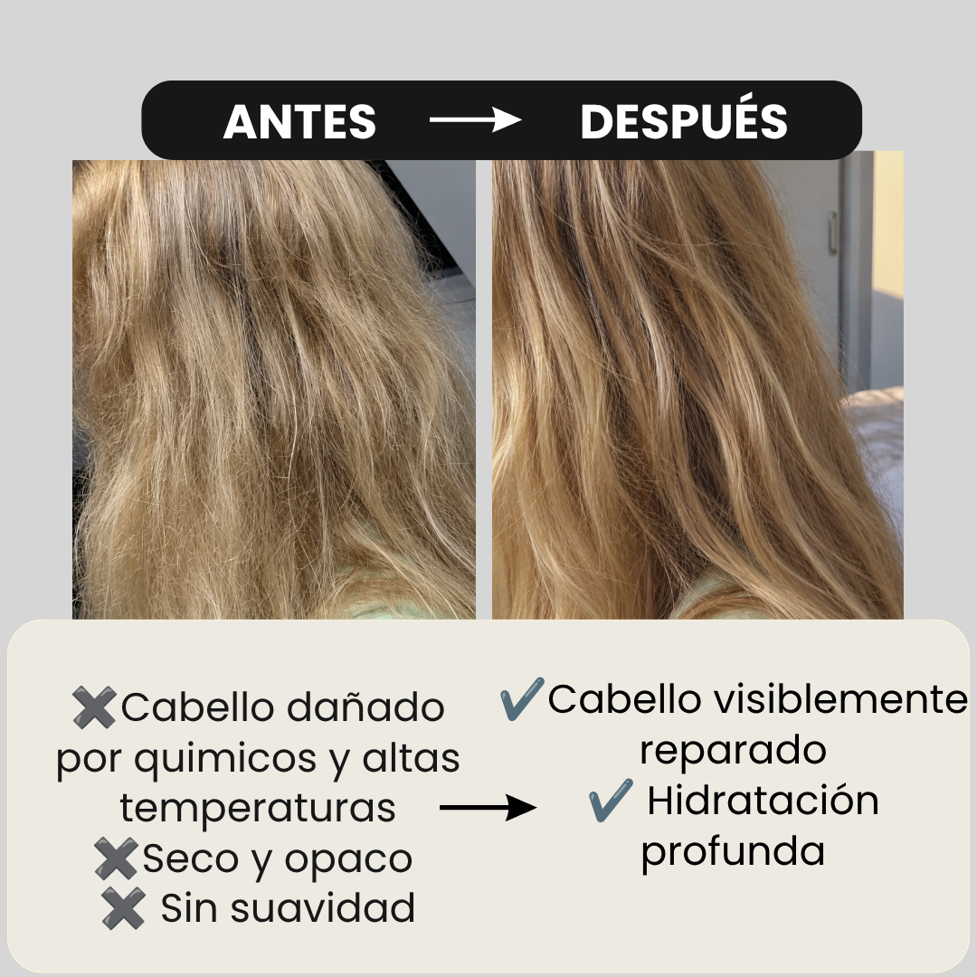 Shampoo Secos y maltratados / Ylang Ylang.