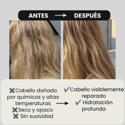 Shampoo Secos y maltratados / Ylang Ylang.