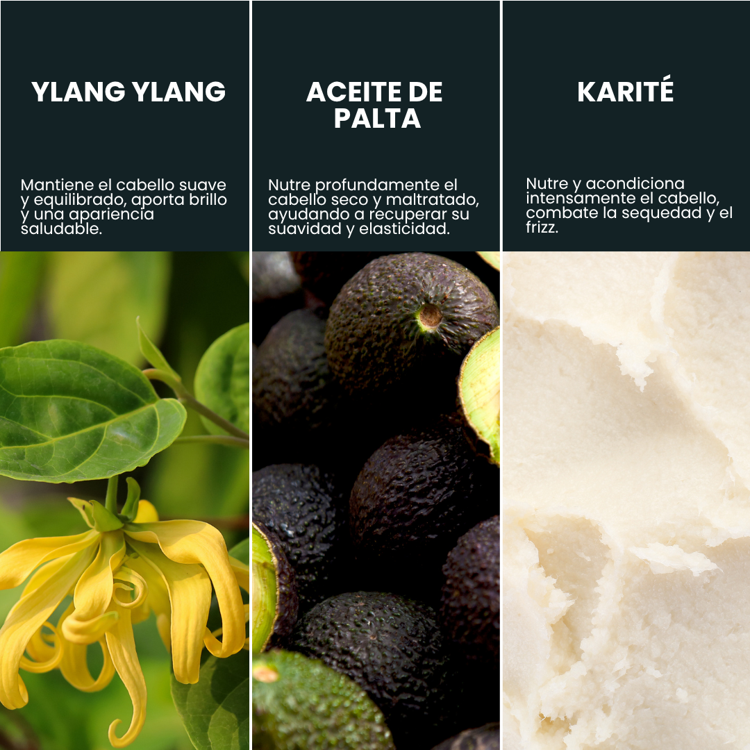 Shampoo Secos y maltratados / Ylang Ylang.