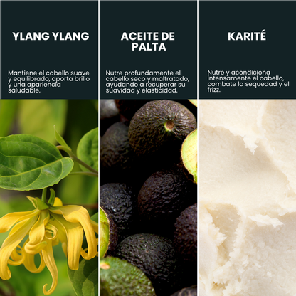 Shampoo Secos y maltratados / Ylang Ylang.